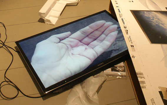 What is What installation view